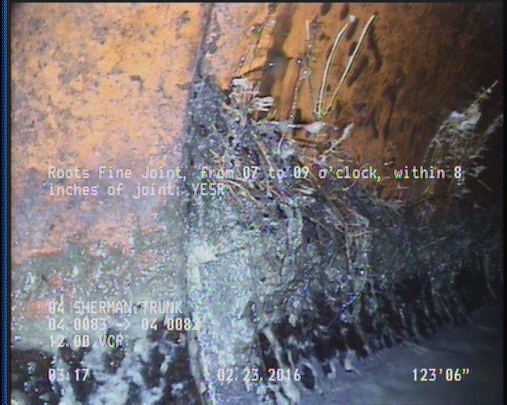 Roots Fine Joint, from 07 to 09 o'clock, within 8 inches of joint: YESR