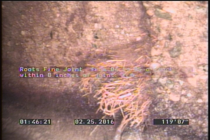 Roots Fine Joint, from 04 to 05 o'clock, within 8 inches of joint: YES