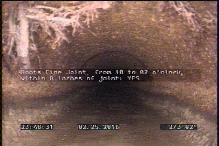 Roots Fine Joint, from 10 to 02 o'clock, within 8 inches of joint: YES