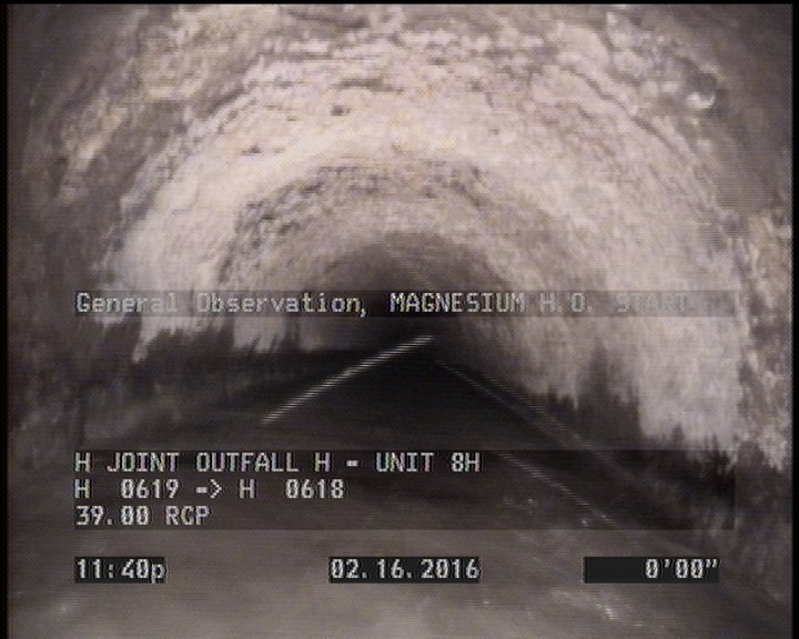 General Observation - MAGNESIUM H.O. START