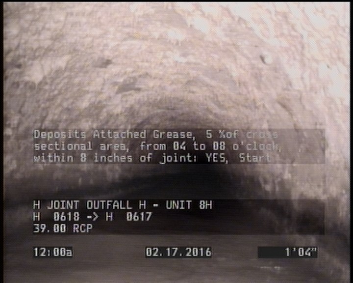 General Observation - MAGNESIUM H.O. START