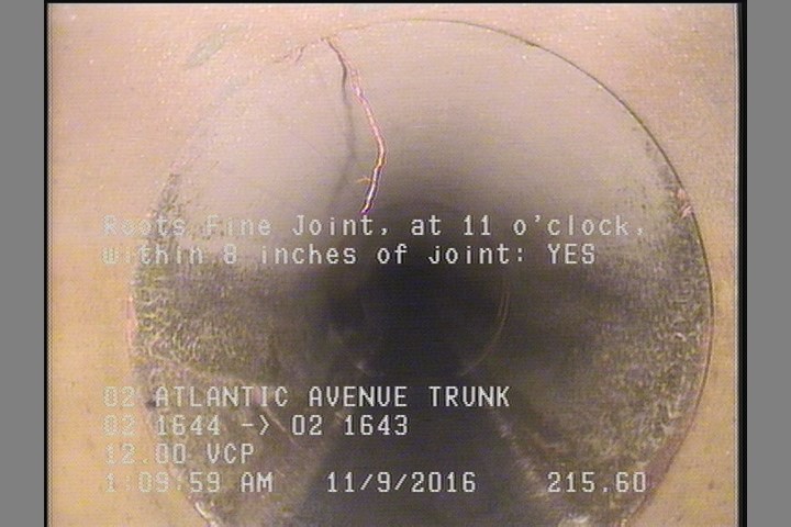 Roots Fine Joint, at 11 o'clock, within 8 inches of joint: YES