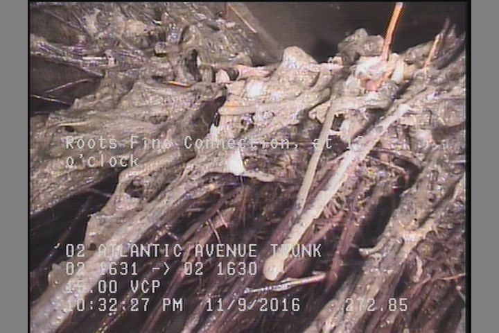 Roots Fine Connection, at 12 o'clock
