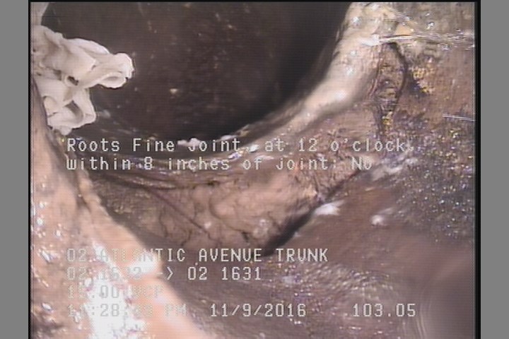 Roots Fine Joint, at 12 o'clock, within 8 inches of joint: NO