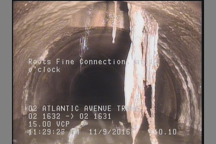 Roots Fine Connection, at 12 o'clock