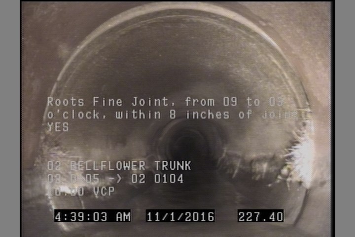 Roots Fine Joint, from 09 to 03 o'clock, within 8 inches of joint: YES