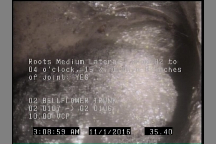 Roots Medium Lateral, from 02 to 04 o'clock, 15 %, within 8 inches of joint: YES