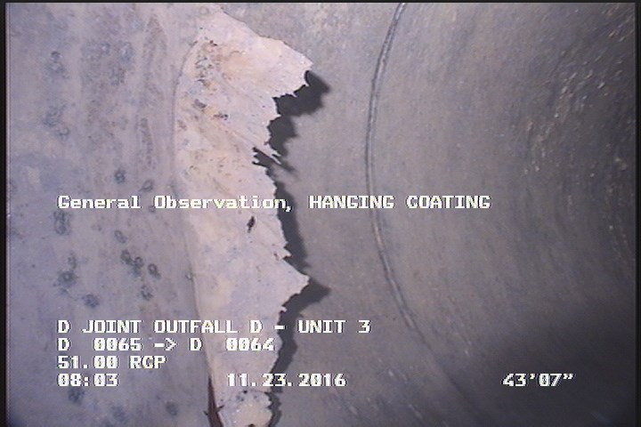 General Observation - HANGING COATING