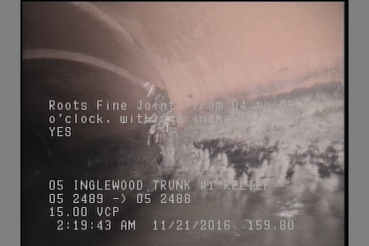 Roots Fine Joint, from 04 to 05 o'clock, within 8 inches of joint: YES