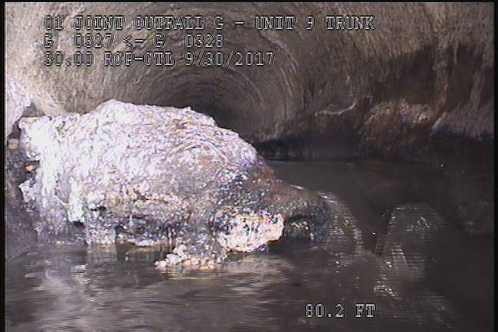 Deposits Attached Grease, 20 %of cross sectional area, from 05 to 08 o'clock, , within 8 inches of joint: YES