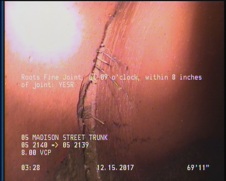 Roots Fine Joint, at 09 o'clock, within 8 inches of joint: YESR