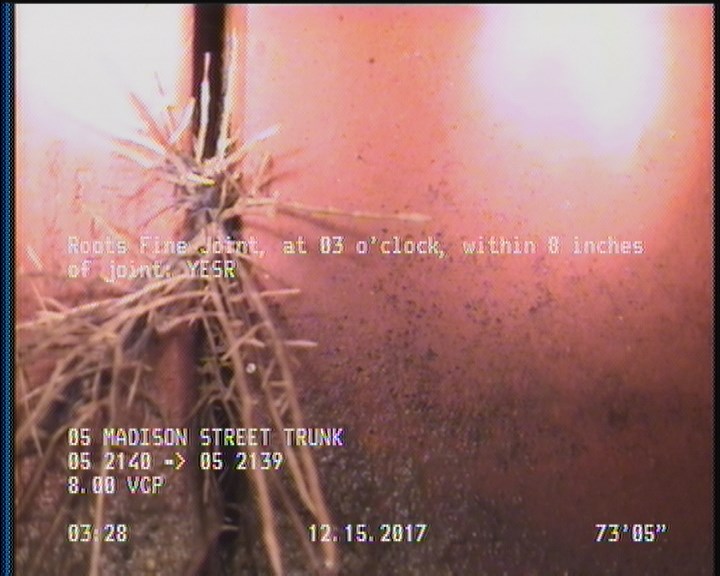 Roots Fine Joint, at 03 o'clock, within 8 inches of joint: YESR
