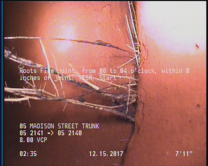 Roots Fine Joint, from 08 to 04 o'clock, within 8 inches of joint: YESR, Start