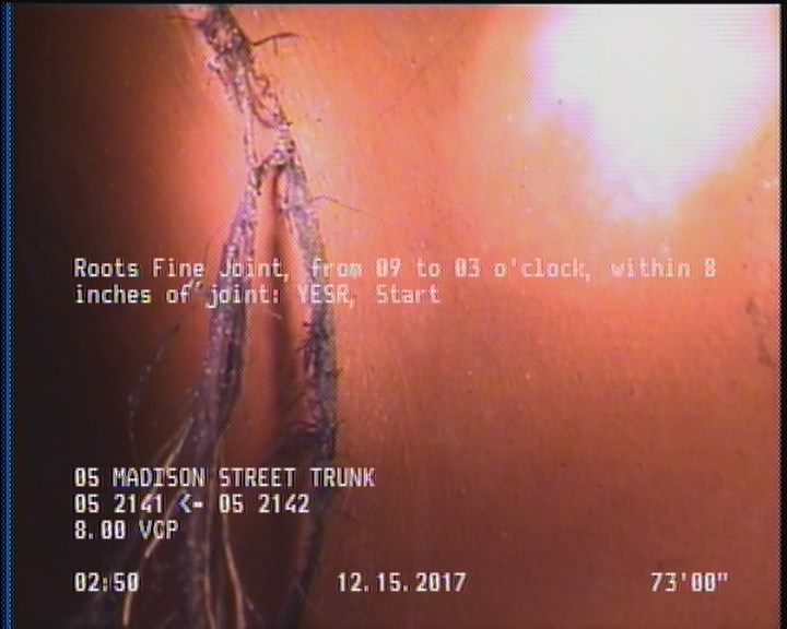 Roots Fine Joint, from 09 to 03 o'clock, within 8 inches of joint: YESR, Start
