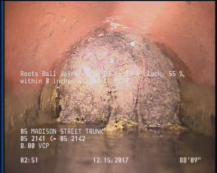 Roots Ball Joint, from 09 to 03 o'clock, 55 %, within 8 inches of joint: YESR