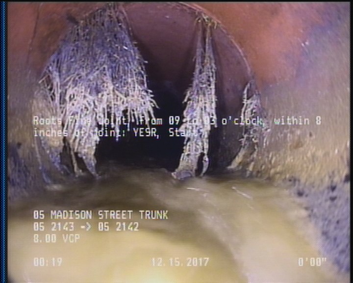 Roots Fine Joint, from 09 to 03 o'clock, within 8 inches of joint: YESR, Start