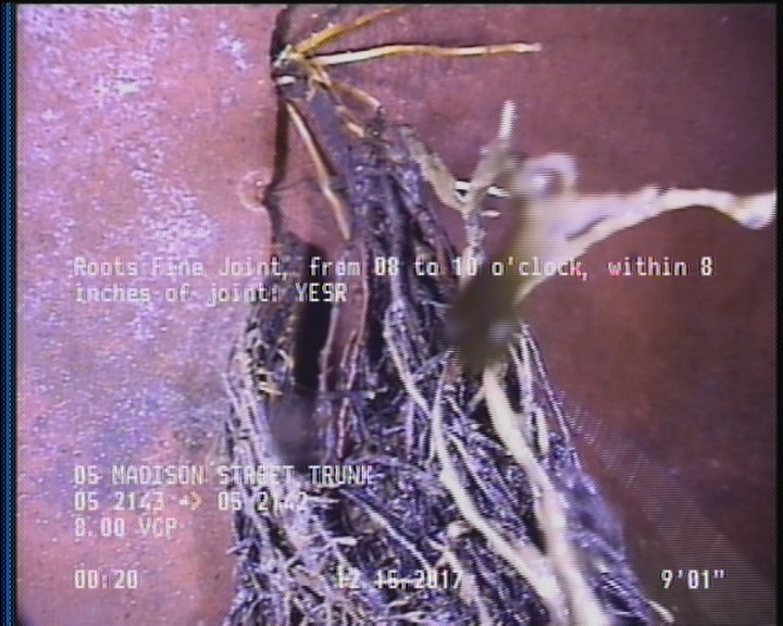 Roots Fine Joint, from 08 to 10 o'clock, within 8 inches of joint: YESR