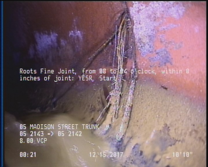 Roots Fine Joint, from 08 to 04 o'clock, within 8 inches of joint: YESR, Start