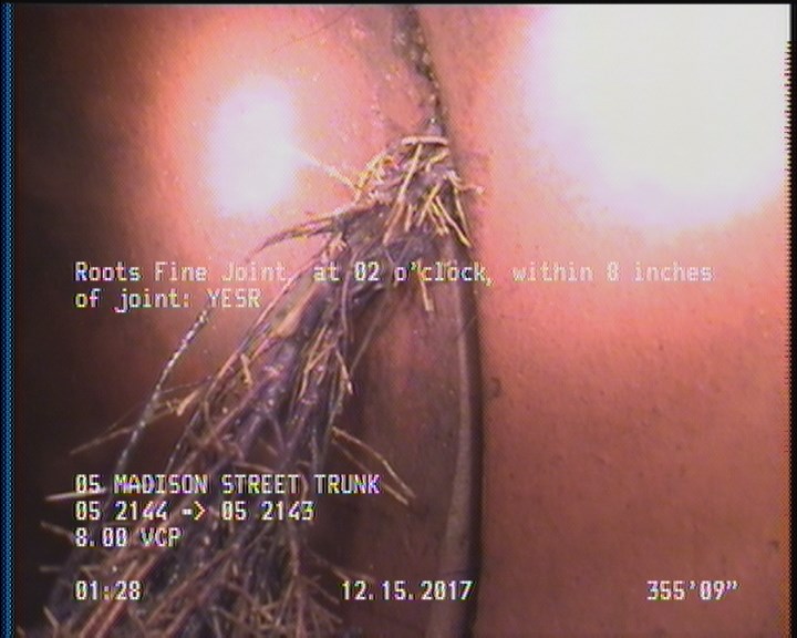 Roots Fine Joint, at 02 o'clock, within 8 inches of joint: YESR