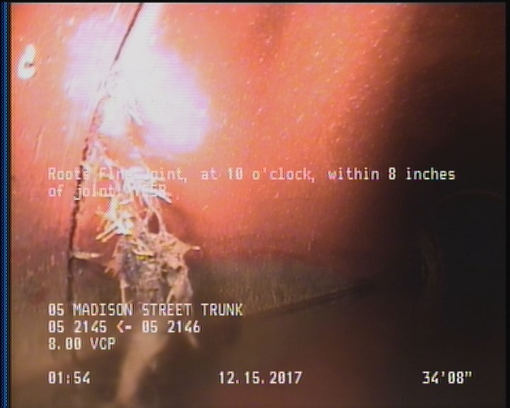 Roots Fine Joint, at 10 o'clock, within 8 inches of joint: YESR