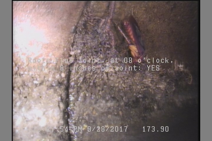 Roots Fine Joint, at 08 o'clock, within 8 inches of joint: YES