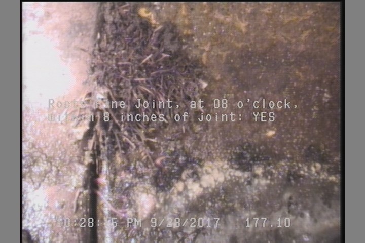 Roots Fine Joint, at 08 o'clock, within 8 inches of joint: YES