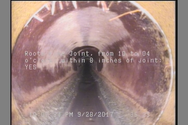 Roots Fine Joint, from 10 to 04 o'clock, within 8 inches of joint: YES