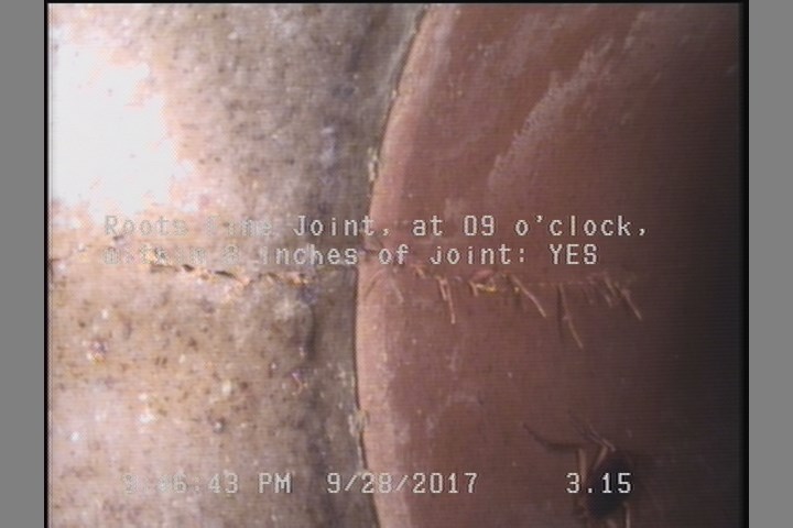 Roots Fine Joint, at 09 o'clock, within 8 inches of joint: YES