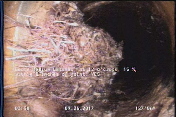 Roots Medium Lateral, at 12 o'clock, 15 %, within 8 inches of joint: YES