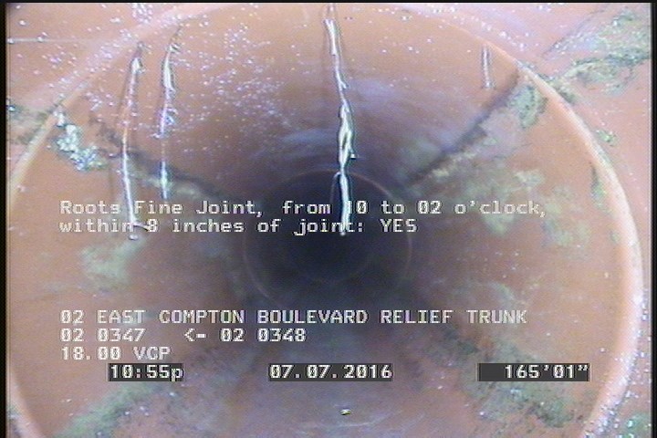 Roots Fine Joint, from 10 to 02 o'clock, within 8 inches of joint: YES