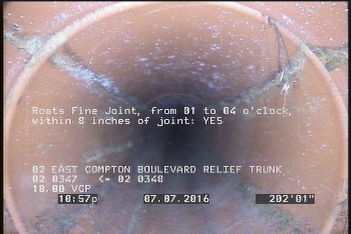 Roots Fine Joint, from 01 to 04 o'clock, within 8 inches of joint: YES