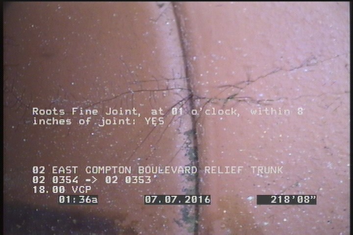 Roots Fine Joint, at 01 o'clock, within 8 inches of joint: YES
