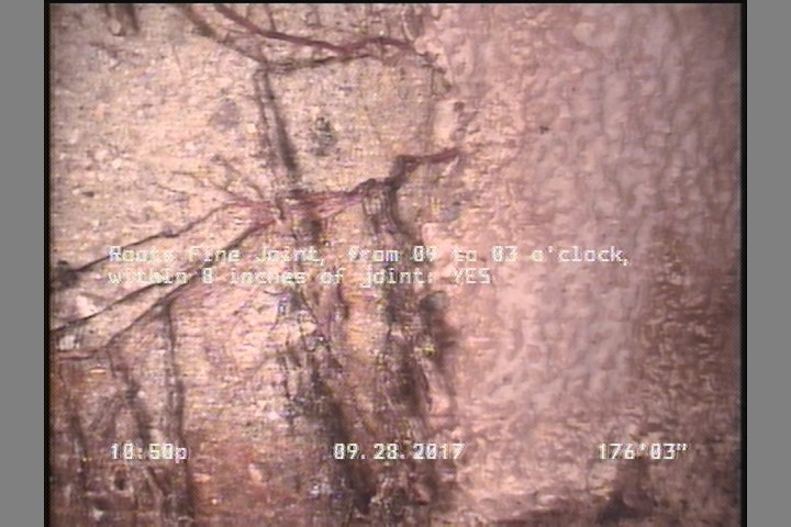 Roots Fine Joint, from 09 to 03 o'clock, within 8 inches of joint: YES