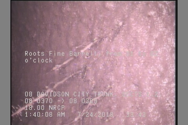 Roots Fine Barrell, from 01 to 02 o'clock