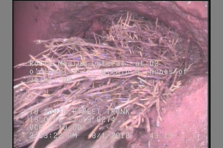 Roots Medium Lateral, at 02 o'clock, 35 %, within 8 inches of joint: NO