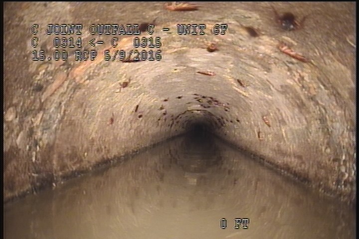 Downstream Manhole, Survey Begins - 11:59 AM
