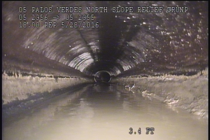 General Observation - 18" PEP