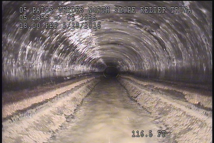 General Observation - 18" PEP