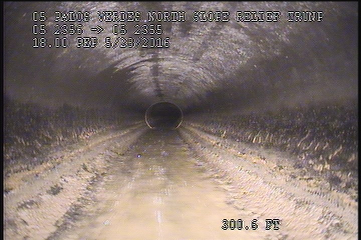 General Observation - 18" PEP