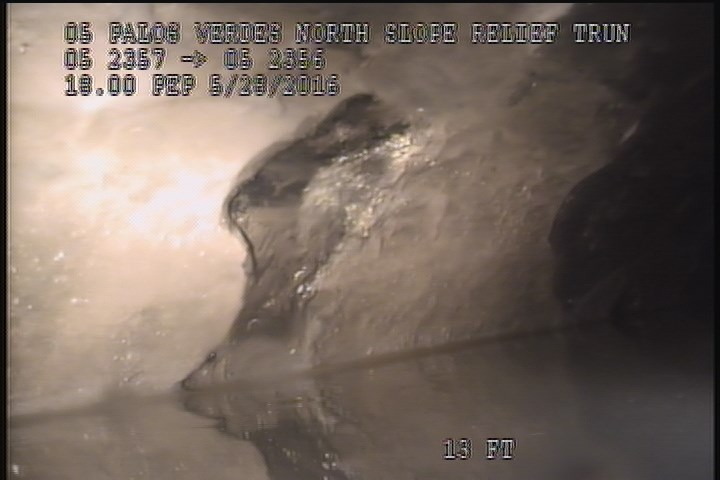 Deposits Attached Grease, 5 %of cross sectional area, from 09 to 03 o'clock, , within 8 inches of joint: NO, Start