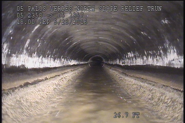 General Observation - 18" PEP