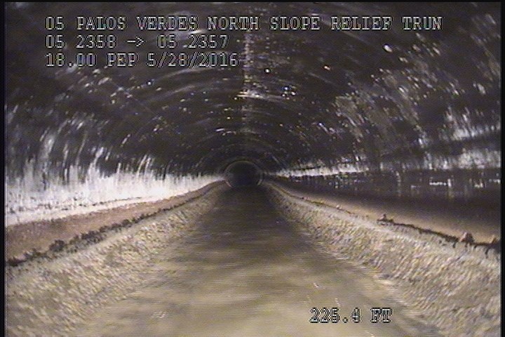 General Observation - 18" PEP