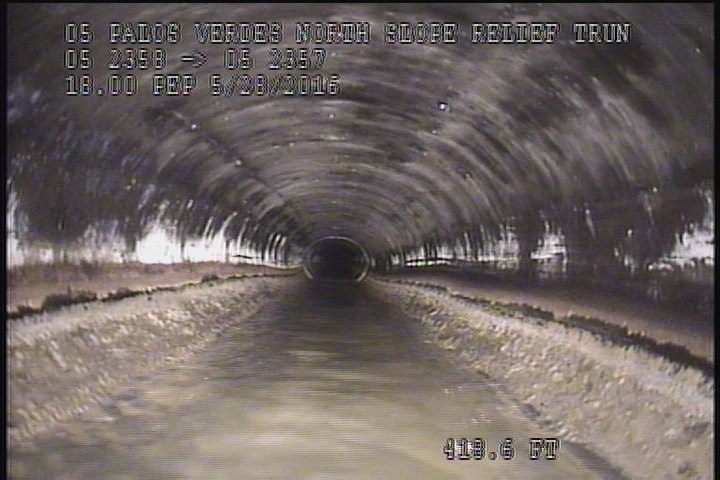 General Observation - 18" PEP