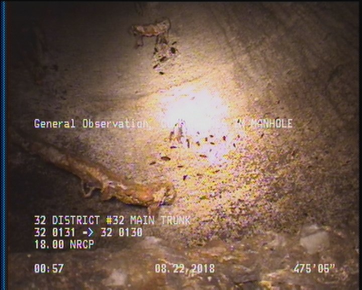 General Observation - COCKROACHES IN MANHOLE