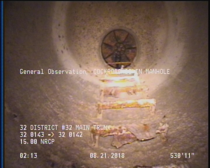 General Observation - COCKROACHES IN MANHOLE