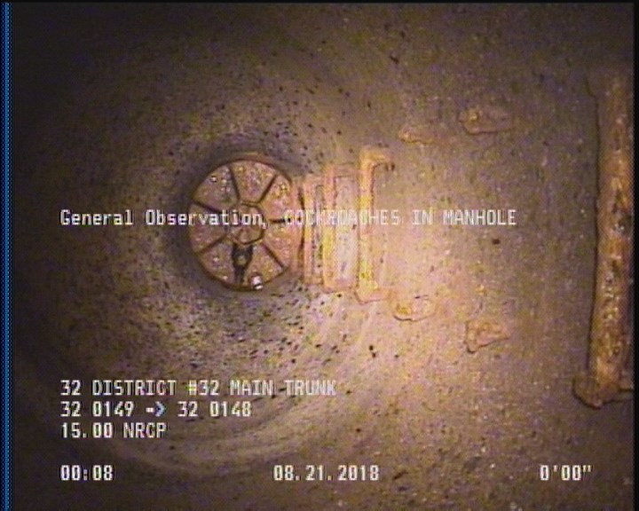 General Observation - COCKROACHES IN MANHOLE