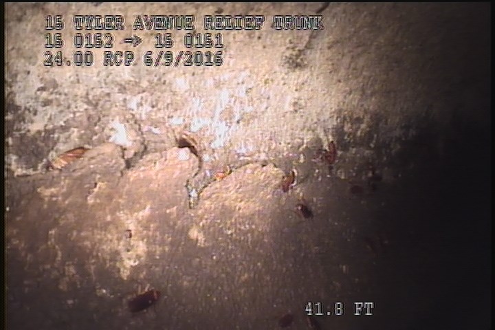 Surface Spalling, from 08 to 04 o'clock, within 8 inches of joint: NO - PEELING LAITANCE COAT