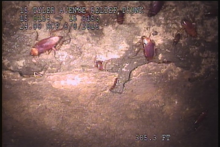 Surface Spalling, from 08 to 04 o'clock, within 8 inches of joint: NO - PEELING LAITANCE COAT