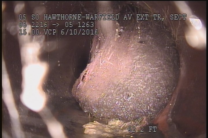 Survey Abandoned - ROOT MASS, 60%, 12 TO 6 OCLOCK