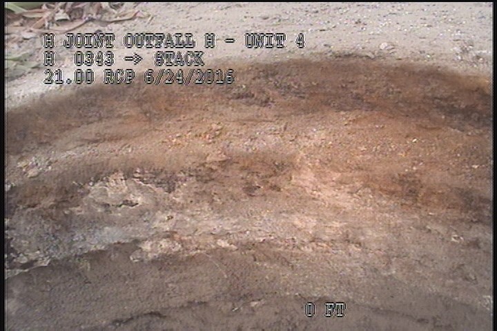 General Observation - RIM